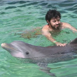 343 Prompts for Brutally Honest History Books